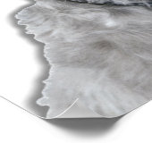 Ik ben een VIP: Zeer belangrijke papaver, schattig Poster (Hoek)