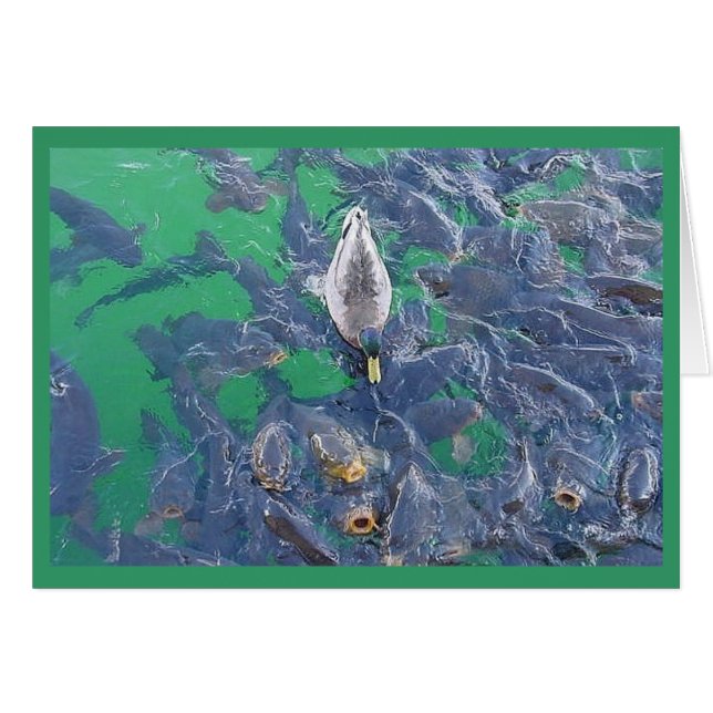 Ik ben een vis... (Voorkant Horizontaal)