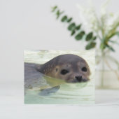 Ik ben een zegel briefkaart (Staand voorkant)