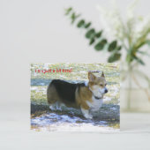 IK BEN ENKEL EEN VERMOEID BEETJE! , FEESTDAGENKAART (Staand voorkant)