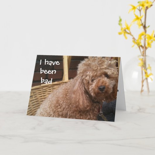 IK BEN ERG LAAT VERJAARDAG KAART (Gele Bloem)