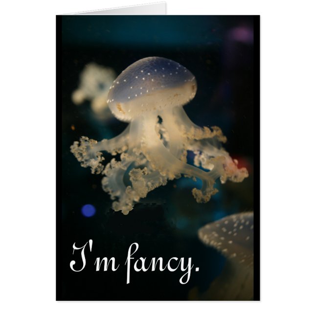 Ik ben fancy (Voorkant)