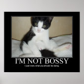 Ik ben geen Bossy Cat Artwork Poster (Voorkant)