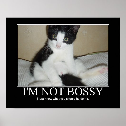 Ik ben geen Bossy Cat Artwork Poster (Voorkant)