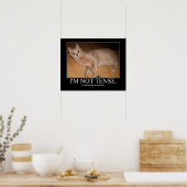 Ik ben geen gespannen kattenwerk poster (Keuken)