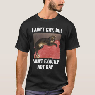 Ik ben geen homo, maar ik ben niet bepaald een hom t-shirt
