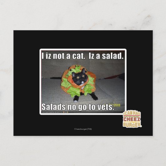 Ik ben geen kat. Het is een salade. Briefkaart (Voorkant)