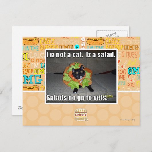 Ik ben geen kat. Het is een salade. Briefkaart (Voorkant / Achterkant)