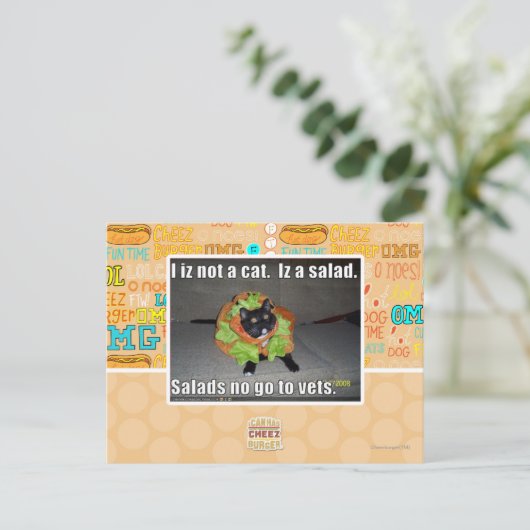 Ik ben geen kat. Het is een salade. Briefkaart (Staand voorkant)
