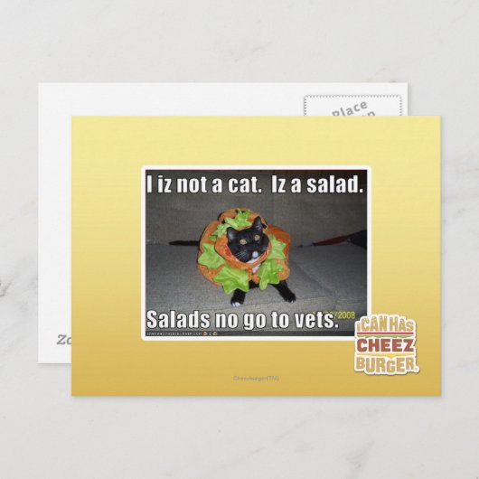 Ik ben geen kat. Het is een salade. Briefkaart (Voorkant / Achterkant)
