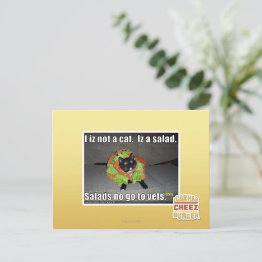 Ik ben geen kat. Het is een salade. Briefkaart (Staand voorkant)