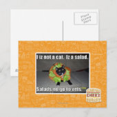Ik ben geen kat. Het is een salade. Briefkaart (Voorkant / Achterkant)