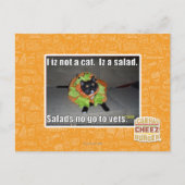 Ik ben geen kat. Het is een salade. Briefkaart (Voorkant)