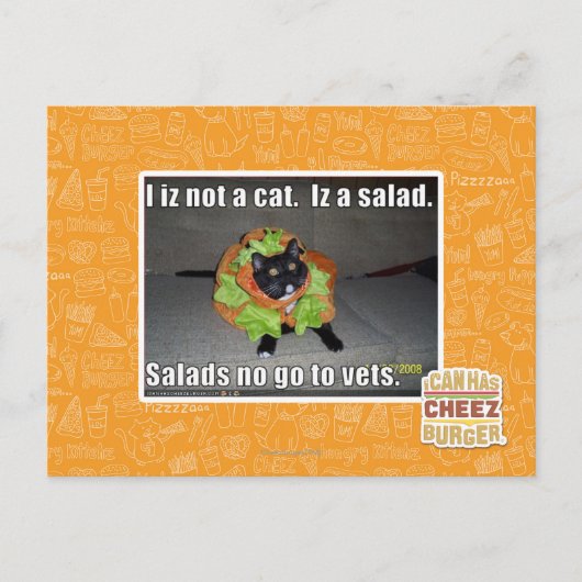 Ik ben geen kat. Het is een salade. Briefkaart (Voorkant)
