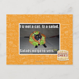 Ik ben geen kat. Het is een salade. Briefkaart