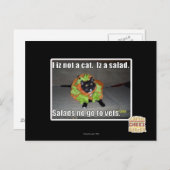 Ik ben geen kat. Het is een salade. Briefkaart (Voorkant / Achterkant)
