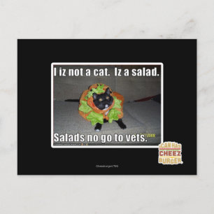 Ik ben geen kat. Het is een salade. Briefkaart