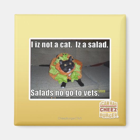 Ik ben geen kat. Het is een salade. Magneet (Voorkant)