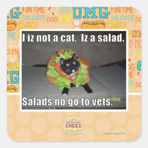 Ik ben geen kat. Het is een salade. Vierkante Sticker
