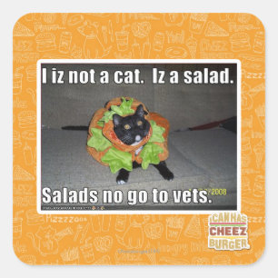 Ik ben geen kat. Het is een salade. Vierkante Sticker