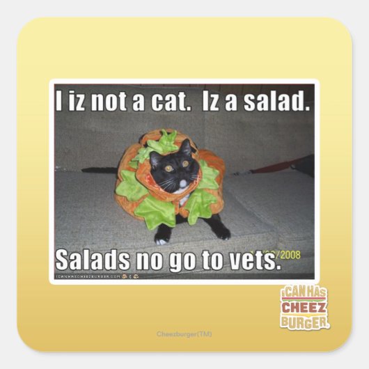 Ik ben geen kat. Het is een salade. Vierkante Sticker (Voorkant)