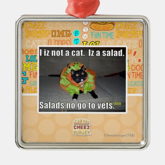 Ik ben geen kat. Iz een salade. Metalen Ornament (Voorkant)
