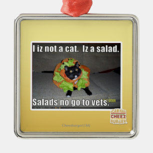 Ik ben geen kat. Iz een salade. Metalen Ornament