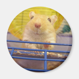 Ik ben geen muis magneet