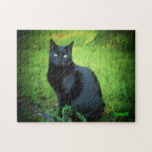 Ik ben geen pech! Black Cat Jigzaag Puzzle Legpuzzel (Horizontaal)