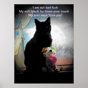 Ik ben geen pech... haiku poster