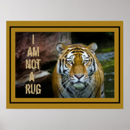 Ik ben geen Rug Bengal Tiger Poster