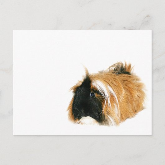 Ik ben geen tribbel briefkaart (Voorkant)
