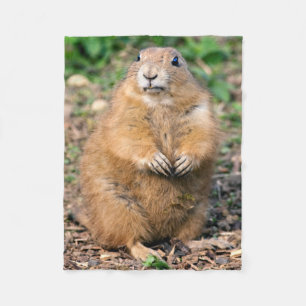 Ik ben geen Vet, ik ben een knappe vlinderbank. Fleece Deken