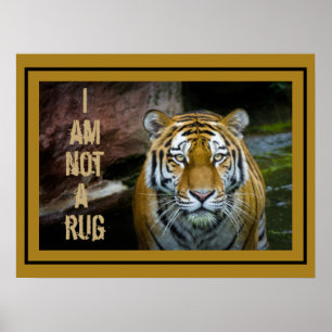 Ik Ben Geen Vloerkleed Bengaalse Tijger Poster