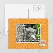 Ik ben gek briefkaart (Voorkant / Achterkant)