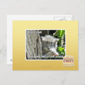 Ik ben gek briefkaart (Voorkant / Achterkant)