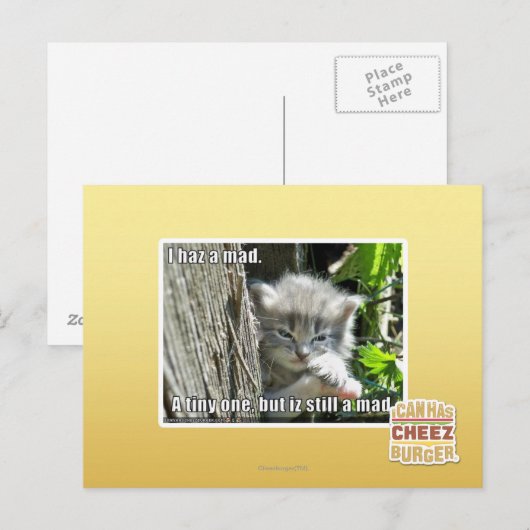 Ik ben gek briefkaart (Voorkant / Achterkant)