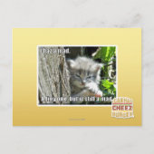 Ik ben gek briefkaart (Voorkant)