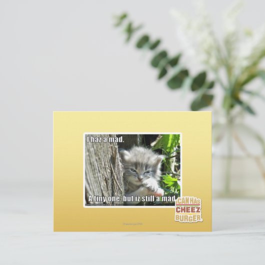 Ik ben gek briefkaart (Staand voorkant)