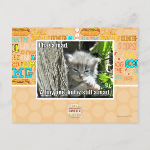 Ik ben gek briefkaart