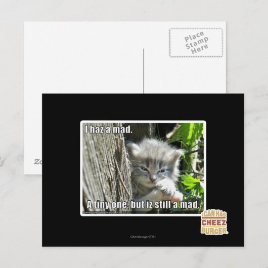 Ik ben gek briefkaart (Voorkant / Achterkant)