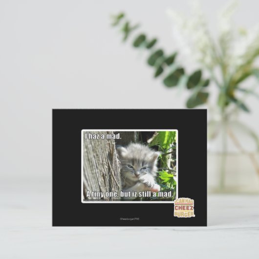 Ik ben gek briefkaart (Staand voorkant)