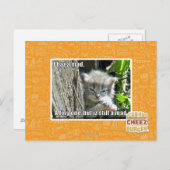 Ik ben gek briefkaart (Voorkant / Achterkant)