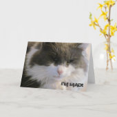 Ik ben gek! Dat ik je verjaardagskat heb gemist Kaart (Gele Bloem)