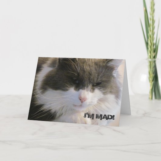 Ik ben gek! Dat ik je verjaardagskat heb gemist Kaart (Voorkant)