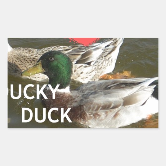 Ik ben gek op Ducky Duck Mountains design Rechthoekige Sticker (Voorkant)