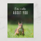 Ik ben gek op jou | Squirrel Modern Funny Fluffy Briefkaart (Voorkant)