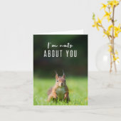 Ik ben gek op jou | Squirrel Modern Funny Fluffy Kaart (Gele Bloem)