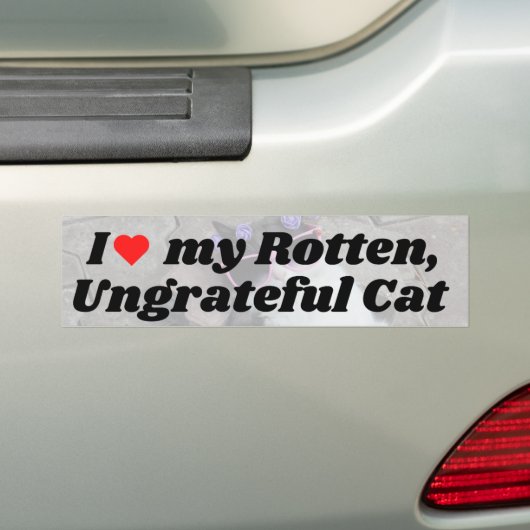 Ik ben gek op mijn rotten. bumpersticker (Op auto)