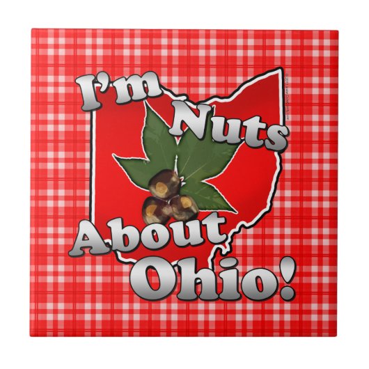 Ik ben gek op Ohio, Funny Red Buckeye Nut Tegeltje (Voorkant)